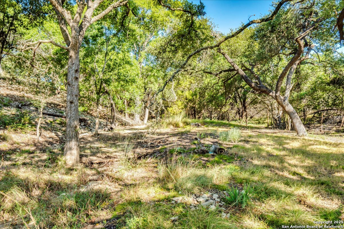 530 Stallion Estates Drive Spring Branch TX 78070