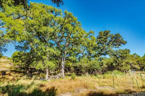 530 Stallion Estates Drive Spring Branch TX 78070