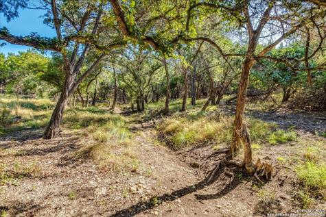 530 Stallion Estates Drive Spring Branch TX 78070