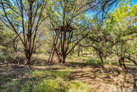 530 Stallion Estates Drive Spring Branch TX 78070