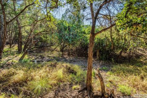 530 Stallion Estates Drive Spring Branch TX 78070