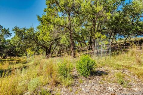 530 Stallion Estates Drive Spring Branch TX 78070
