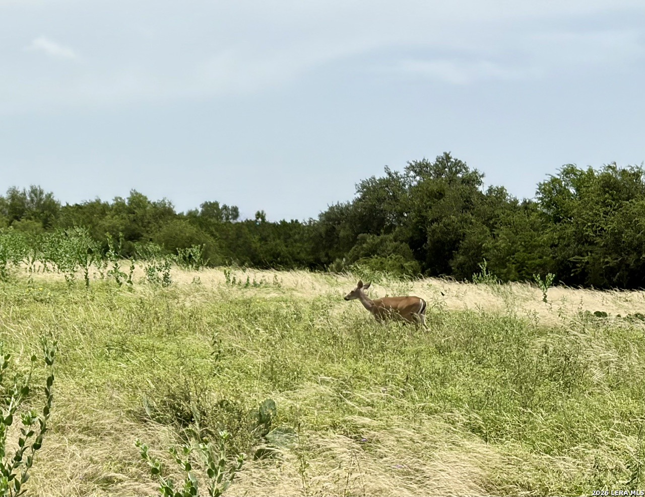 12 Stone Crest Bandera TX 78003