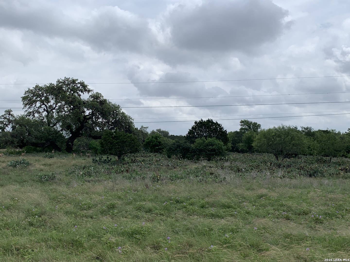 12 Stone Crest Bandera TX 78003