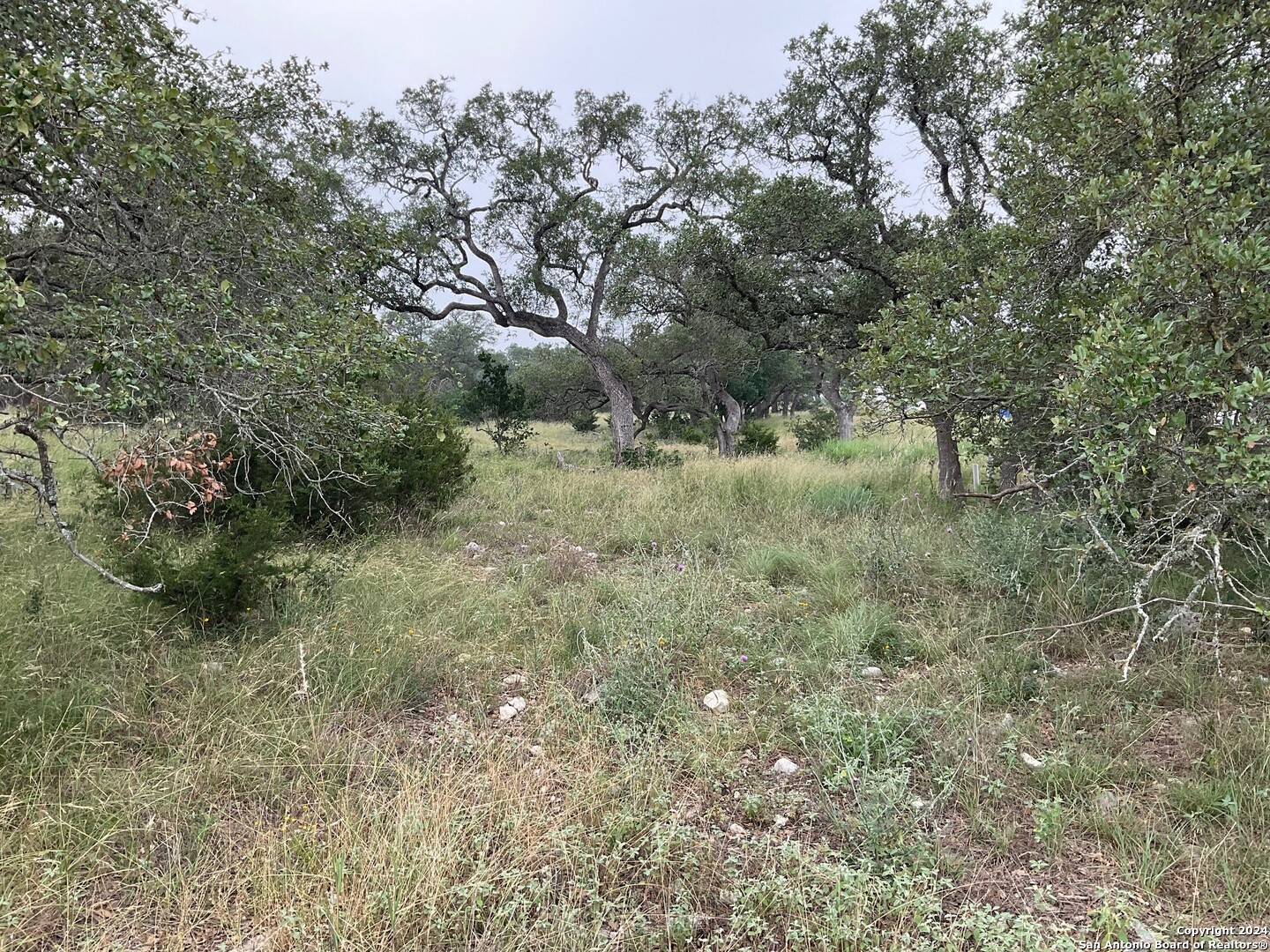 3-E-301B Cordillera Springs Boerne TX 78006