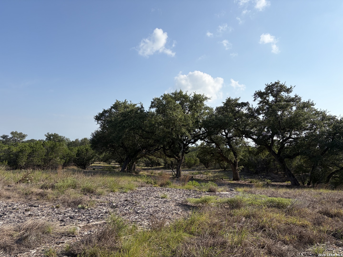 Lot 17 Rio Lantana Pipe Creek TX 78063