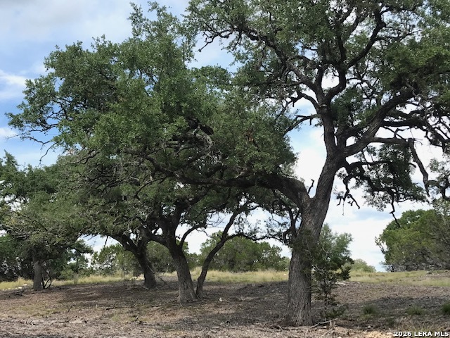 Lot 17 Rio Lantana Pipe Creek TX 78063