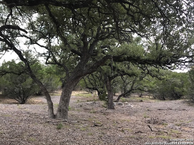 Lot 17 Rio Lantana Pipe Creek TX 78063