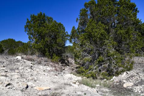 665 Cool Creek Road Camp Verde TX 78010