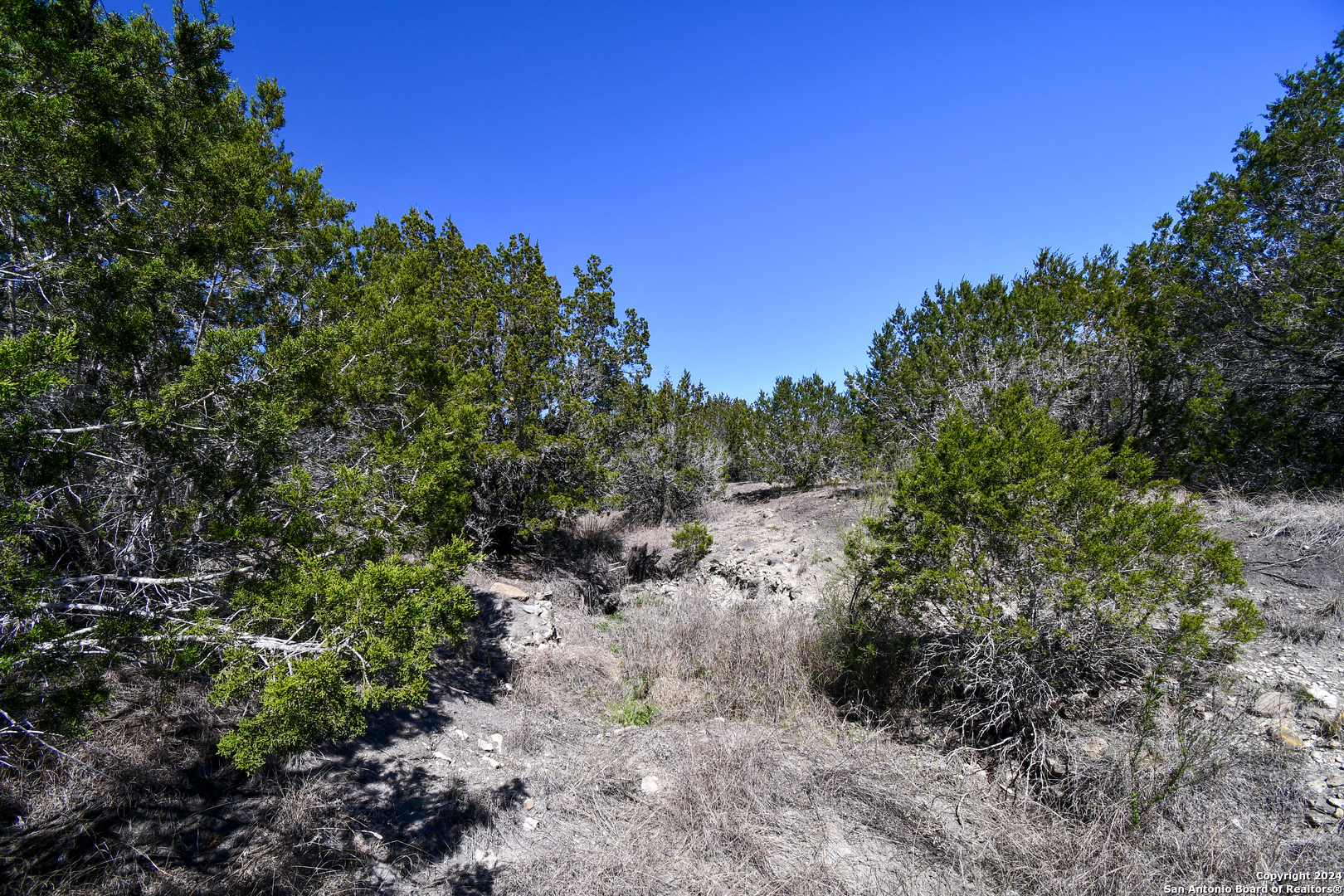 665 Cool Creek Road Camp Verde TX 78010