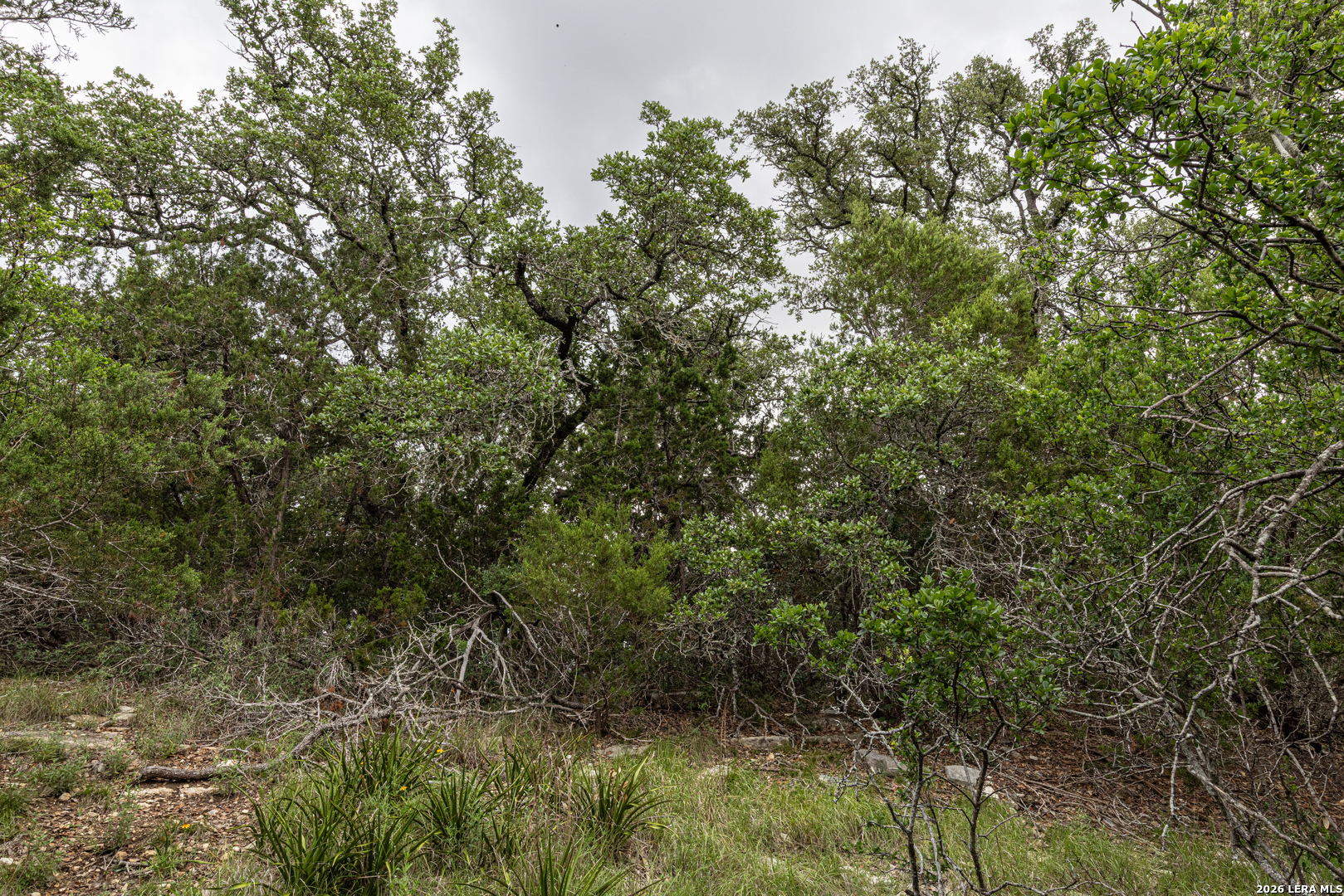 563 Abodar Trail Spring Branch TX 78070