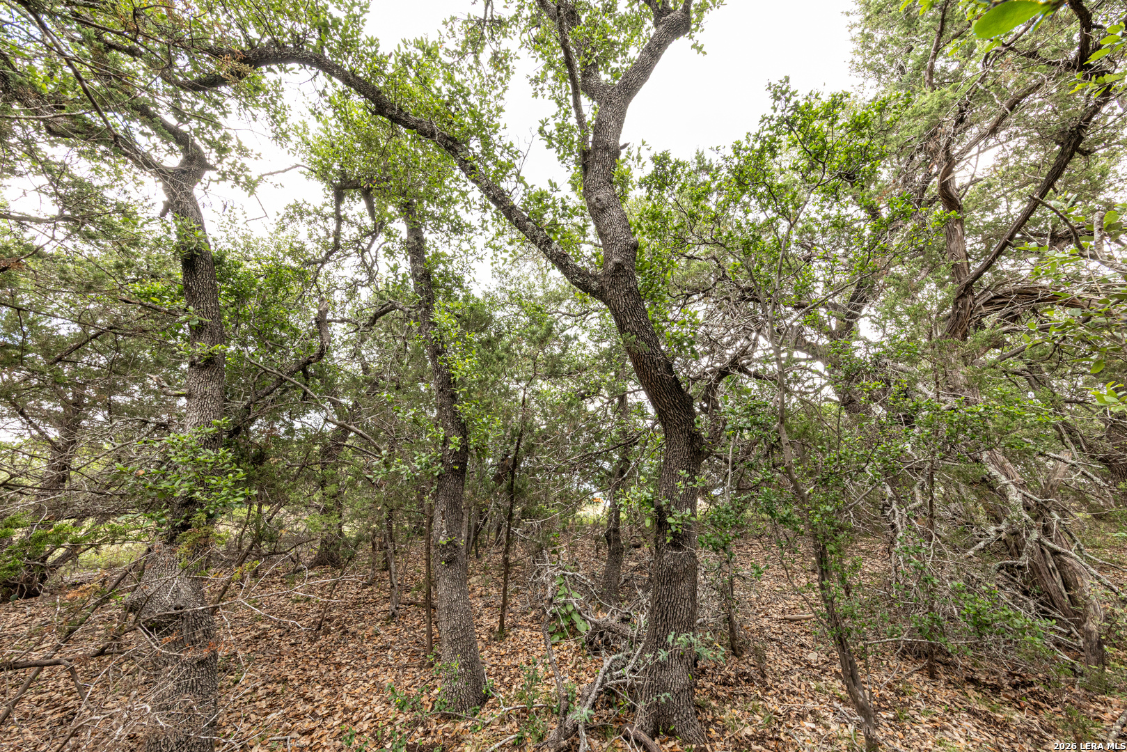 563 Abodar Trail Spring Branch TX 78070