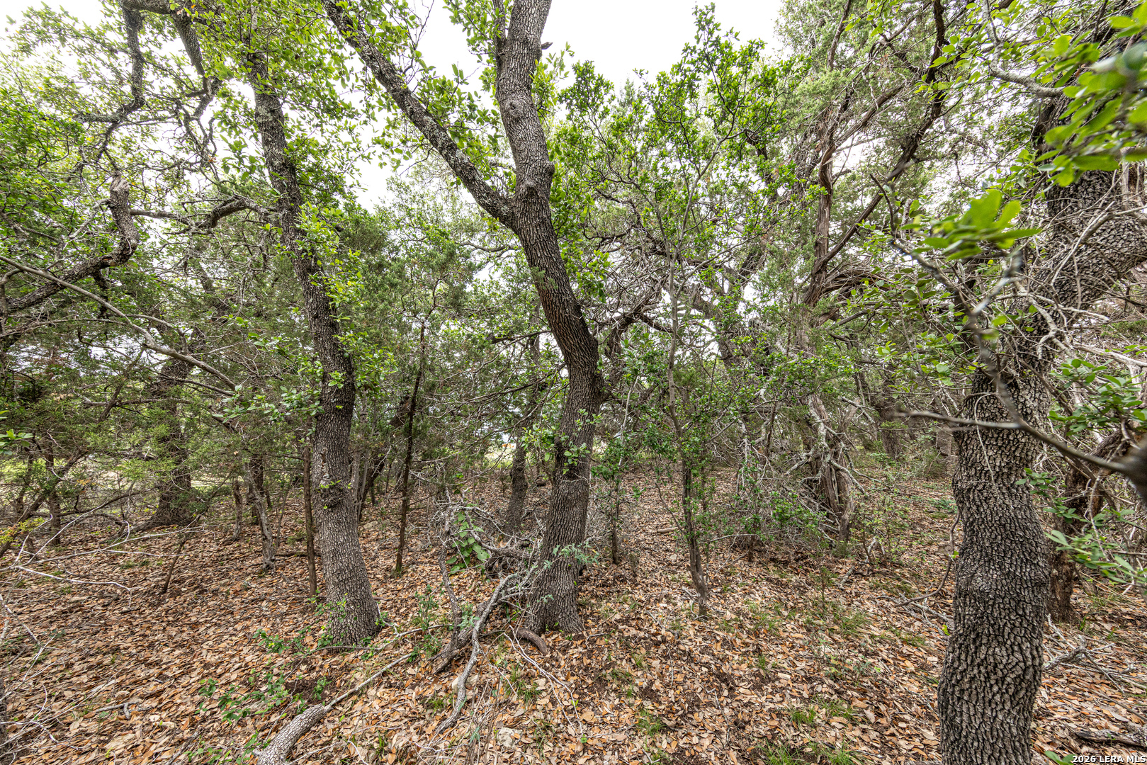 563 Abodar Trail Spring Branch TX 78070