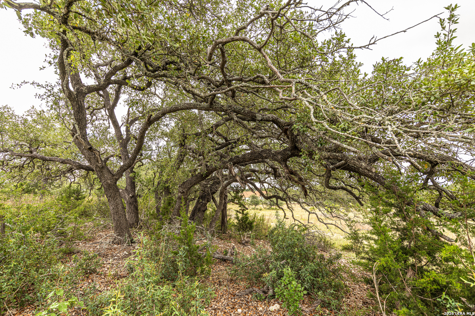 563 Abodar Trail Spring Branch TX 78070