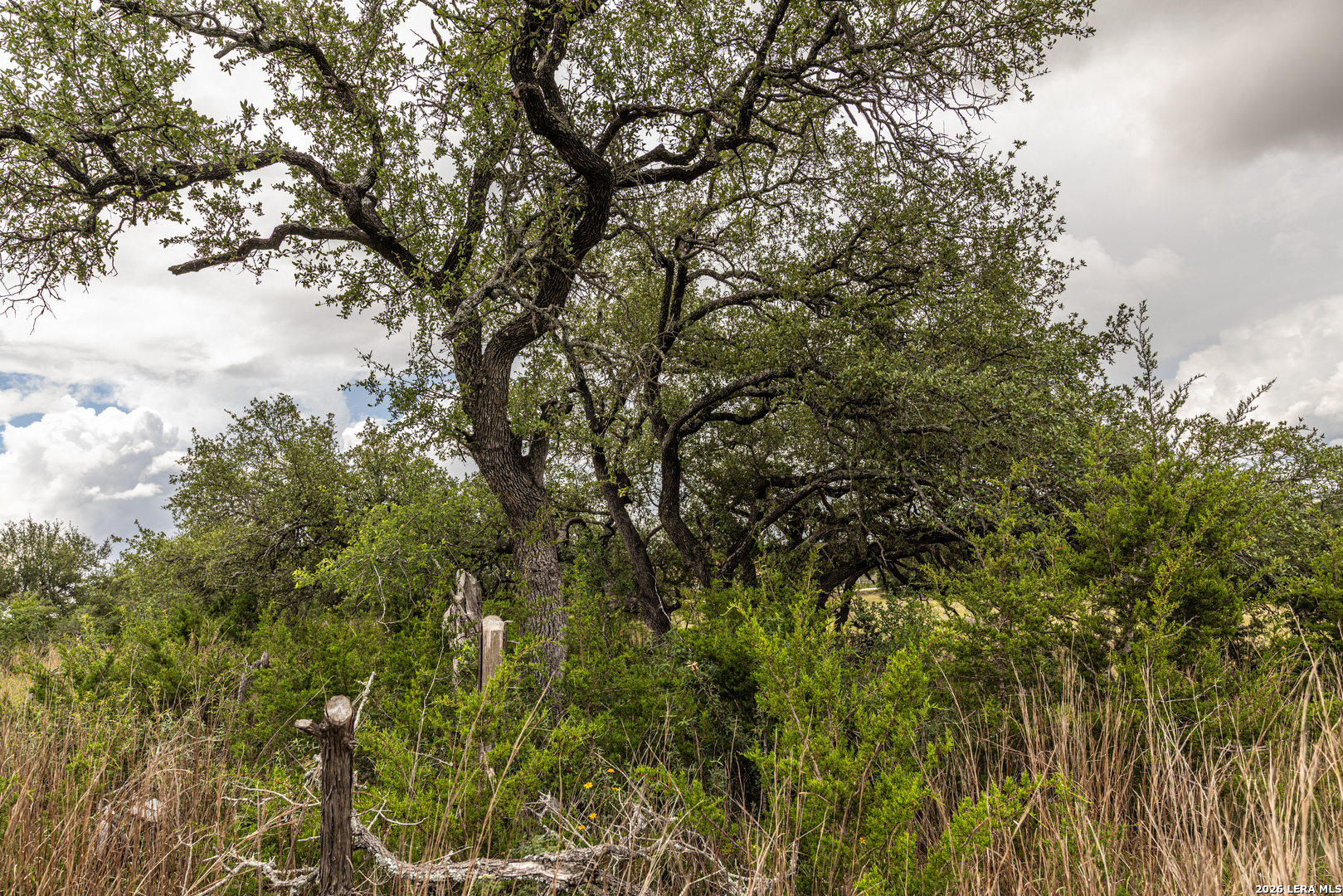 563 Abodar Trail Spring Branch TX 78070