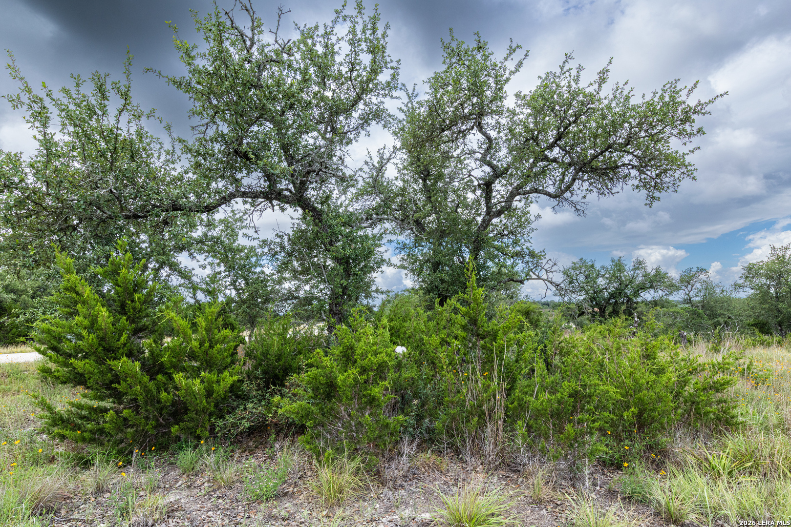 563 Abodar Trail Spring Branch TX 78070