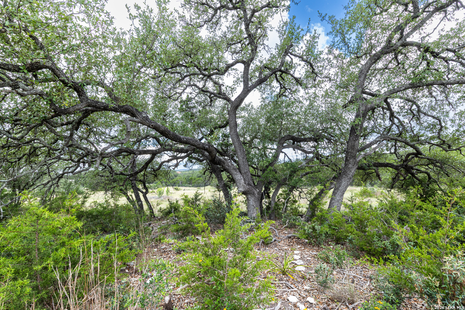 563 Abodar Trail Spring Branch TX 78070