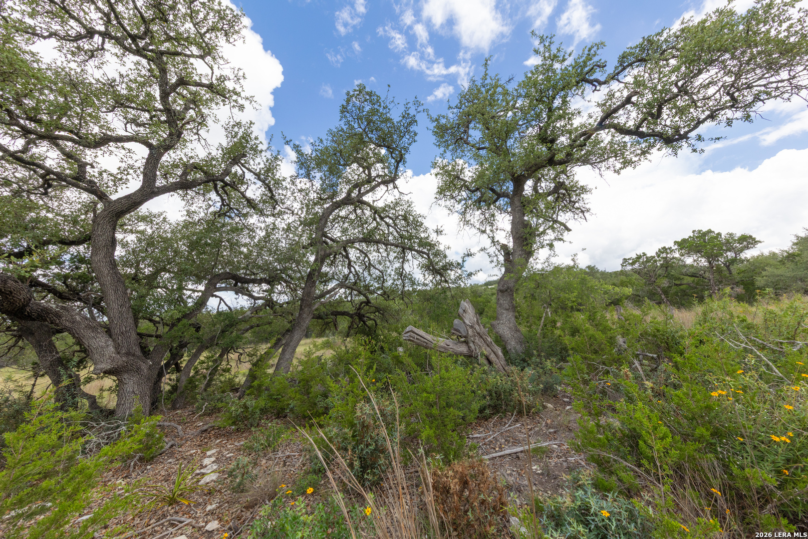 563 Abodar Trail Spring Branch TX 78070