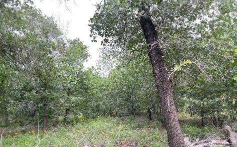606 Sherrywood Lane San Antonio TX 78264