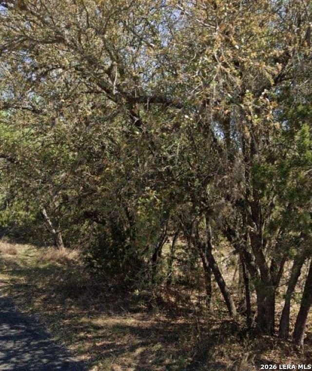 5950 Circle Oak Drive Bulverde TX 78163
