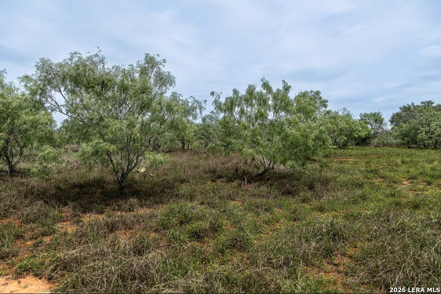 0 Cr 106 Floresville TX 78114