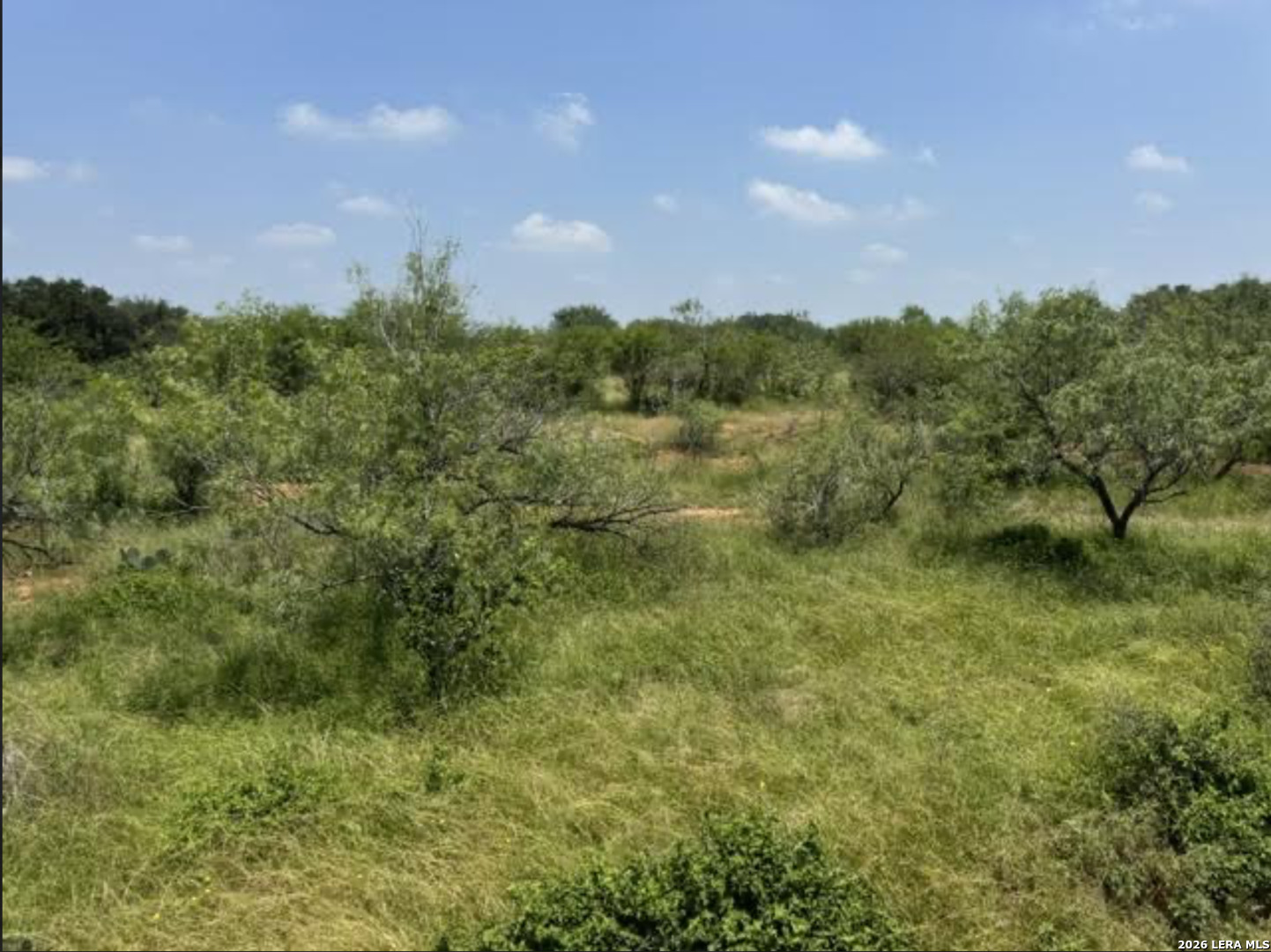 0 County Road 106 Floresville TX 78114