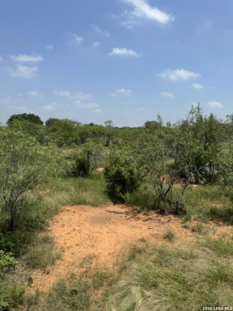 0 County Road 106 Floresville TX 78114