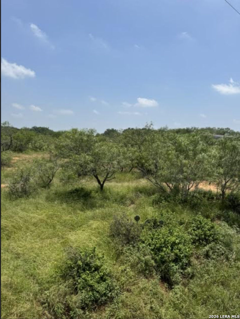 0 County Road 106 Floresville TX 78114