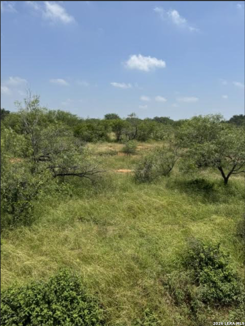 0 County Road 106 Floresville TX 78114