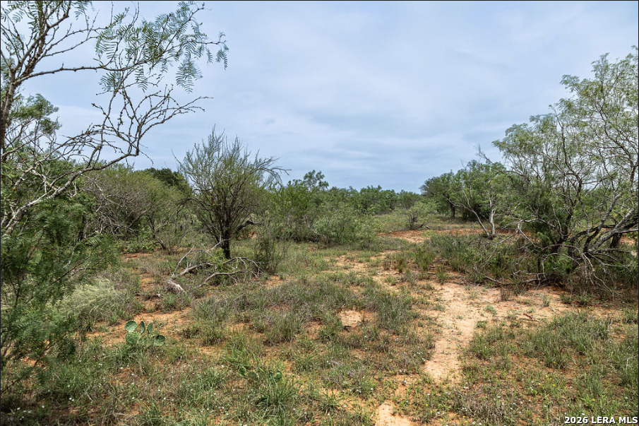 0 Cr 106 Floresville TX 78114