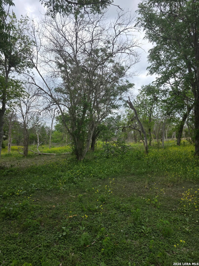 2320 Chavaneaux San Antonio TX 78214