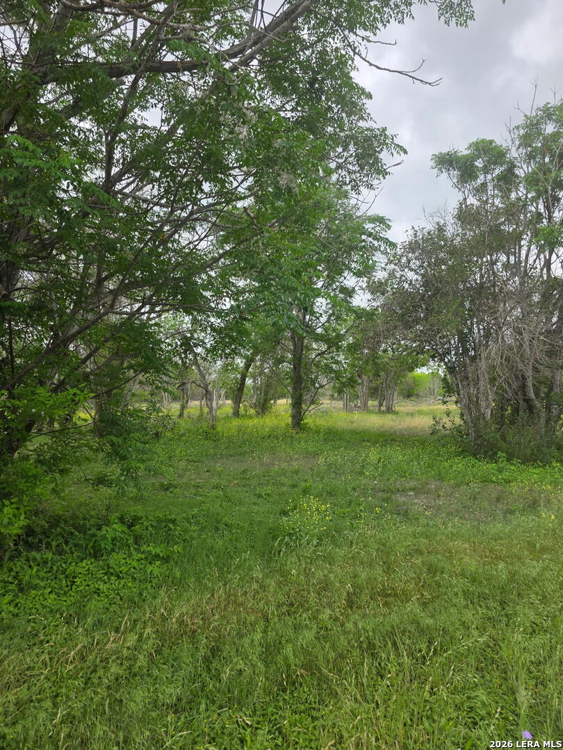 2320 Chavaneaux San Antonio TX 78214