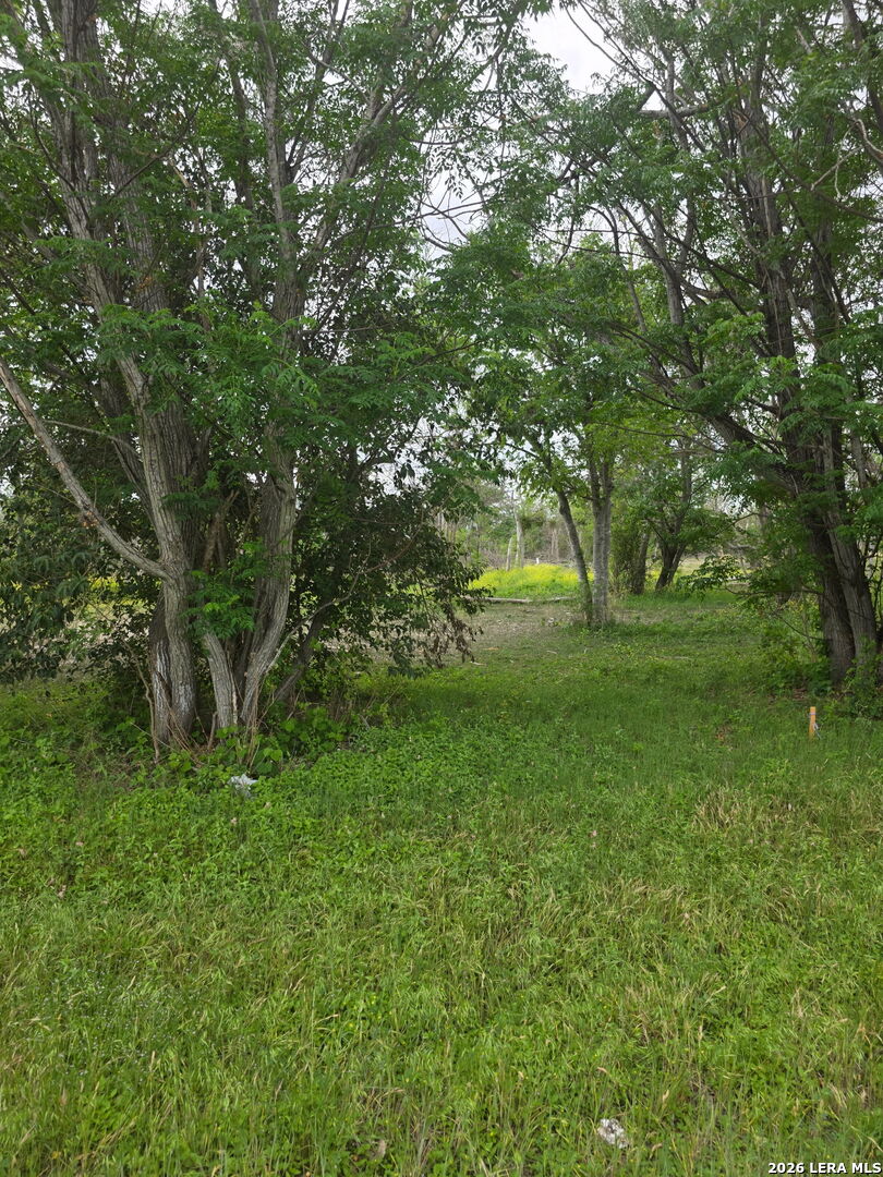 2320 Chavaneaux San Antonio TX 78214