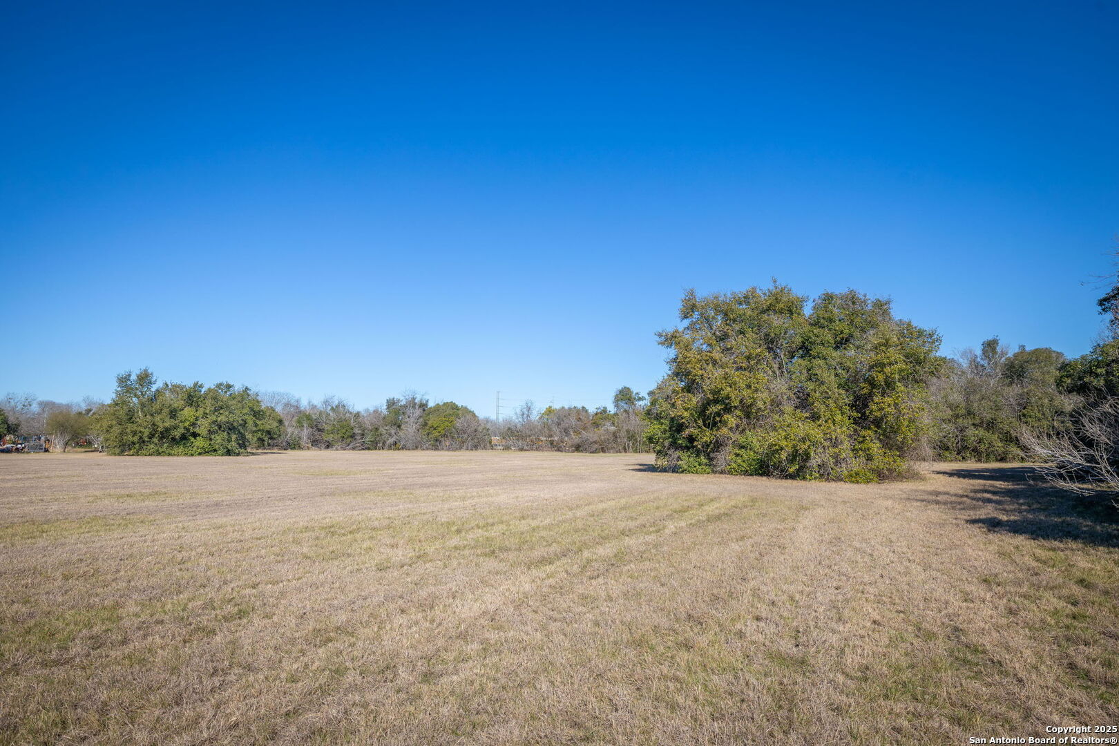 Tbd E Pine Seguin TX 78155