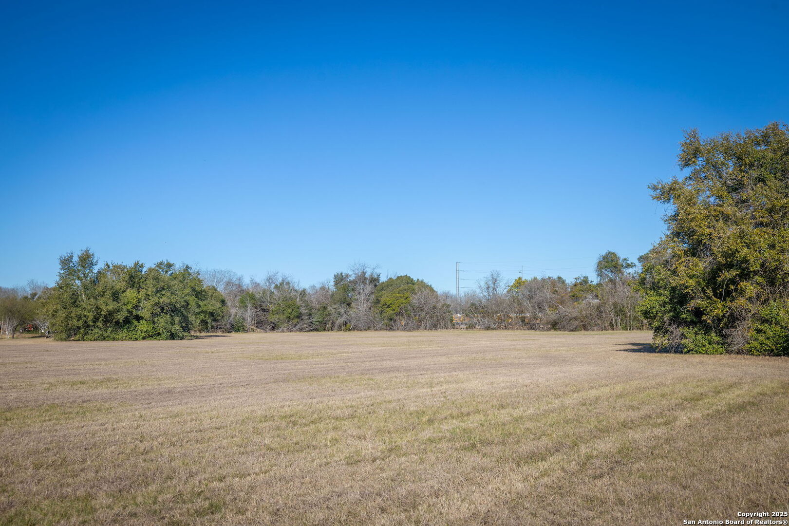 Tbd E Pine Seguin TX 78155