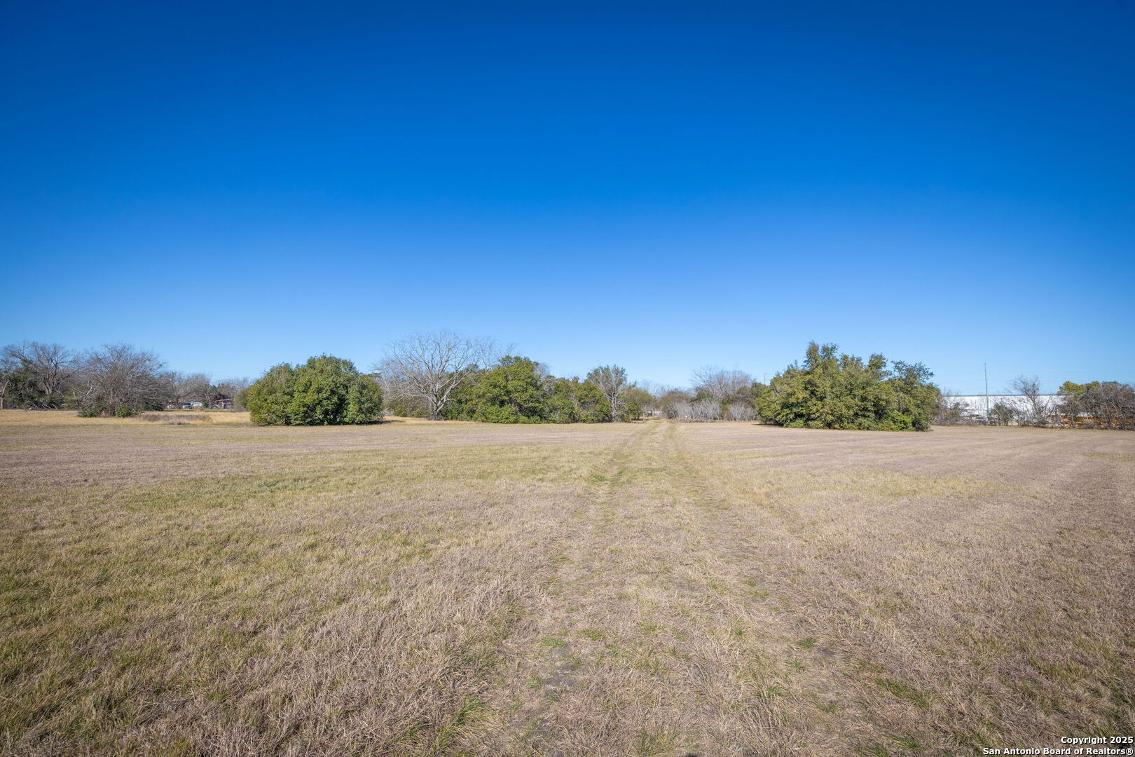 Tbd E Pine Seguin TX 78155