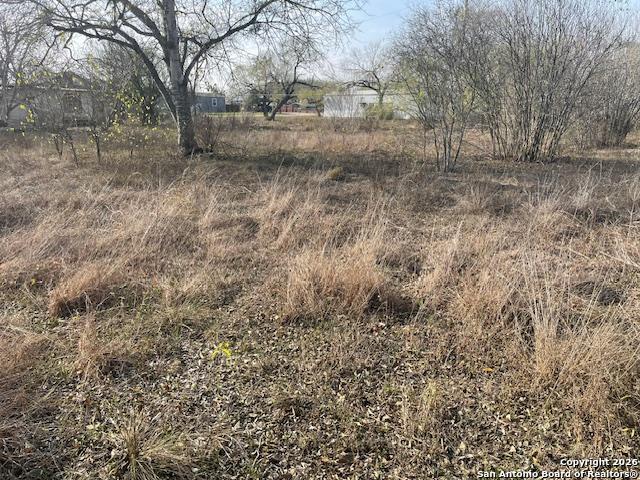 608 Cedar Street Jourdanton TX 78026
