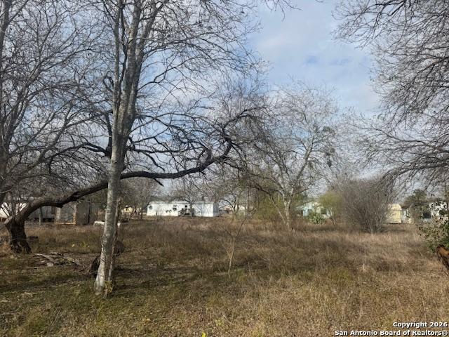 608 Cedar Street Jourdanton TX 78026
