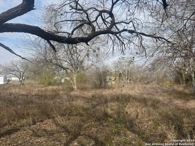 608 Cedar Street Jourdanton TX 78026