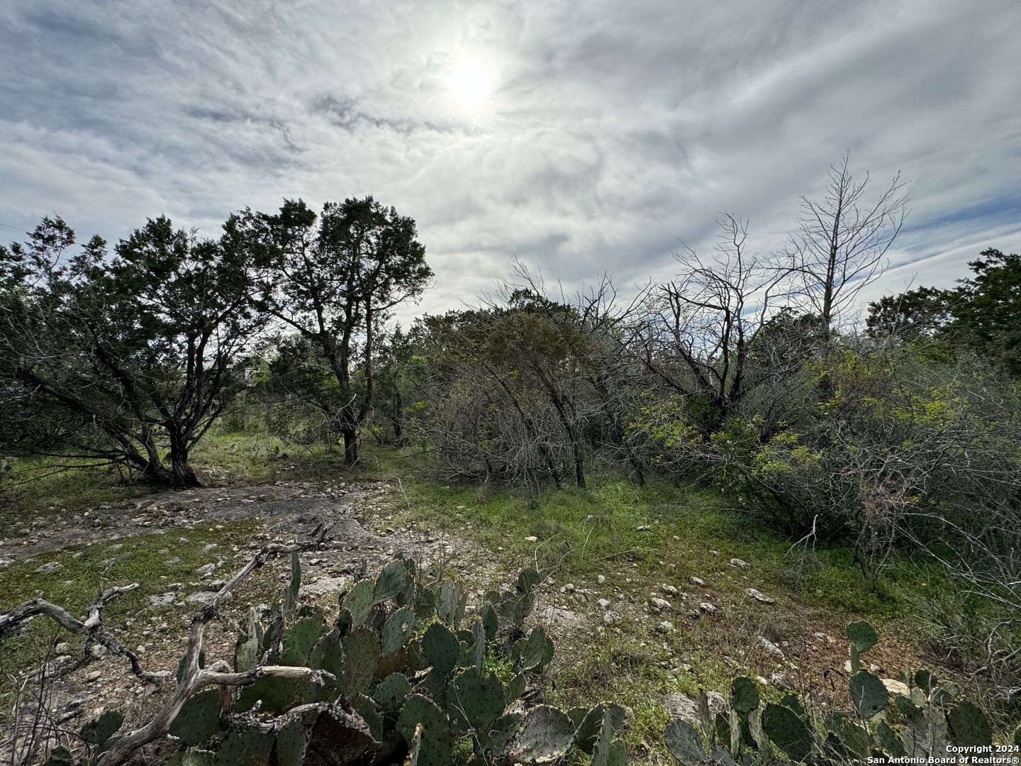 7640 County Road 278 Rio Medina TX 78066