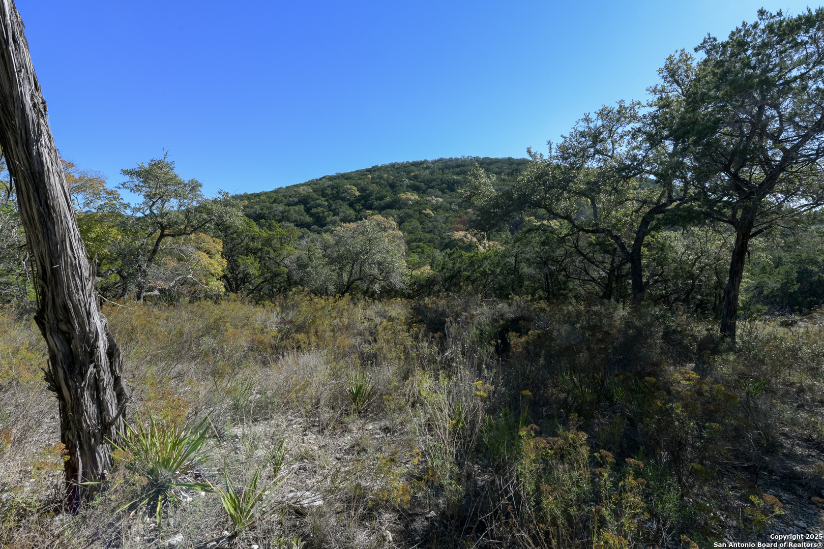286 Private Road 1733 Mico TX 78056