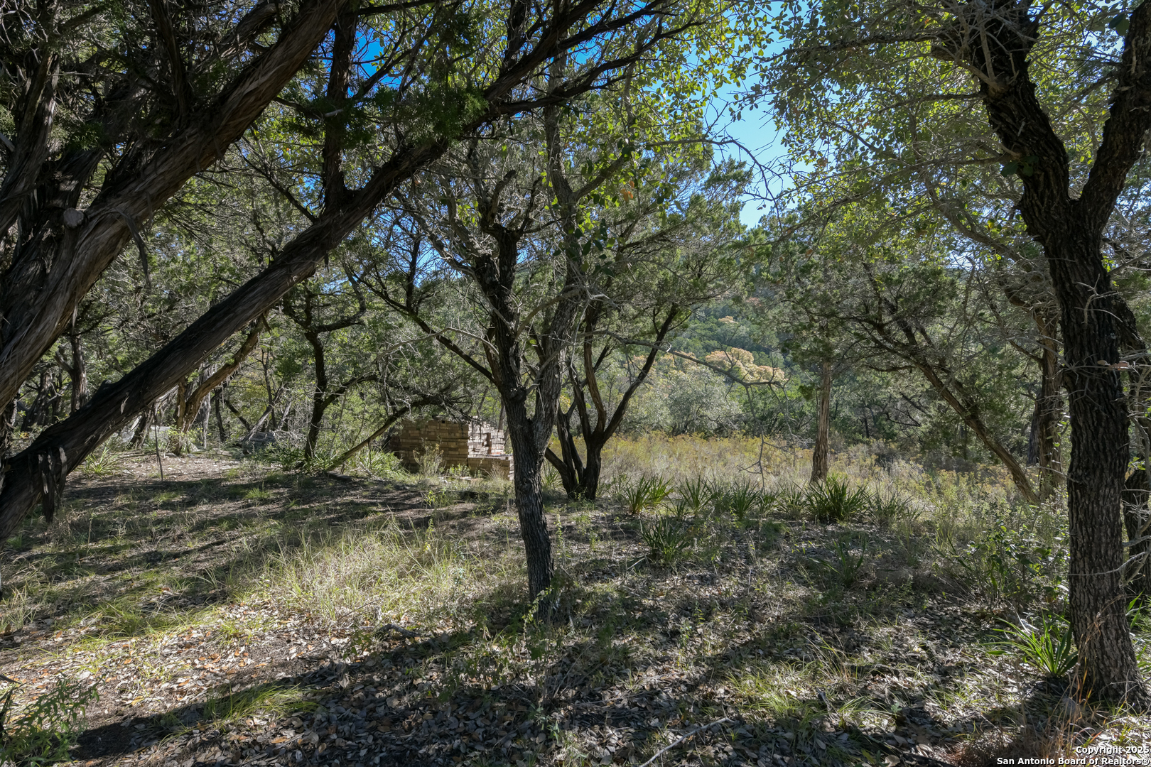 286 Private Road 1733 Mico TX 78056
