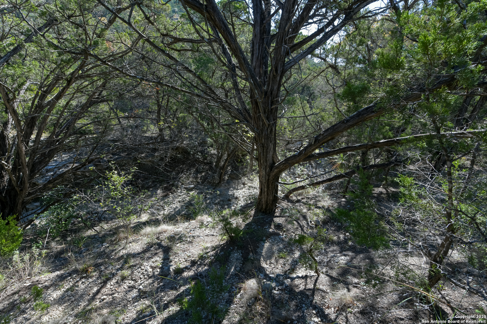 286 Private Road 1733 Mico TX 78056