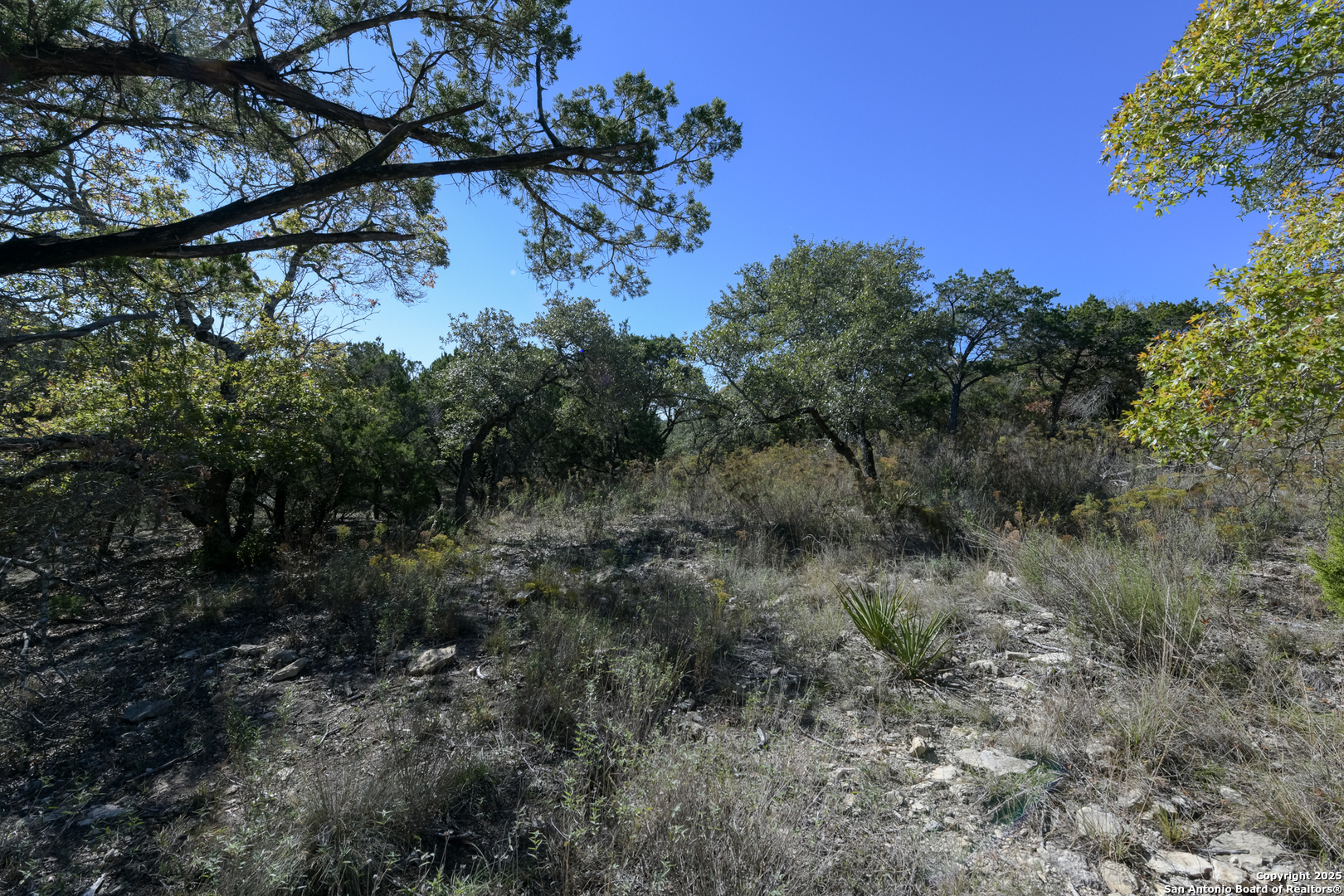 286 Private Road 1733 Mico TX 78056
