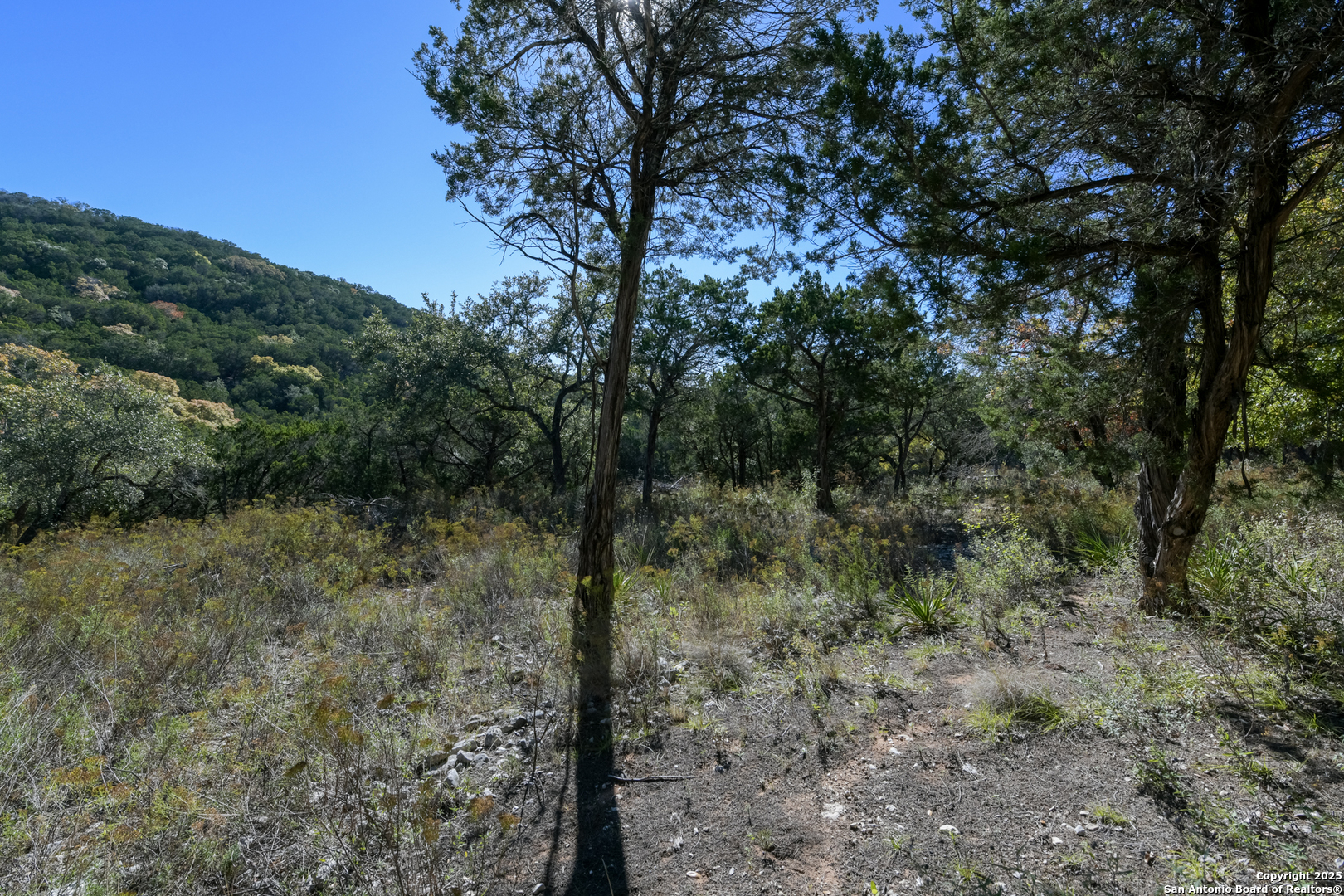286 Private Road 1733 Mico TX 78056