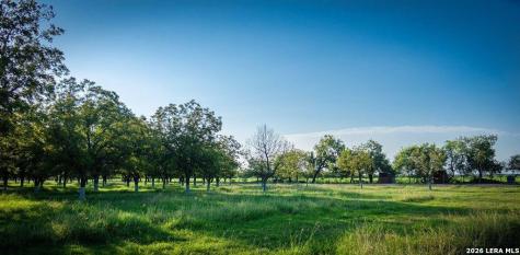 1873 Fm 1908 Quemado TX 78877