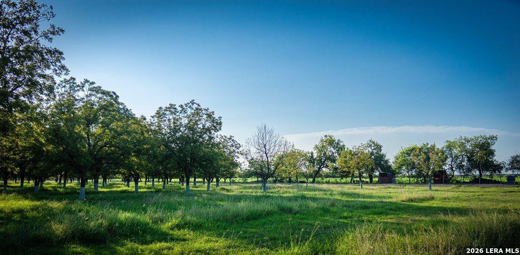 1873 Fm 1908 Quemado TX 78877