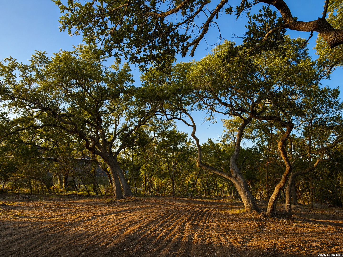 335 Serenity Pass Spring Branch TX 78070