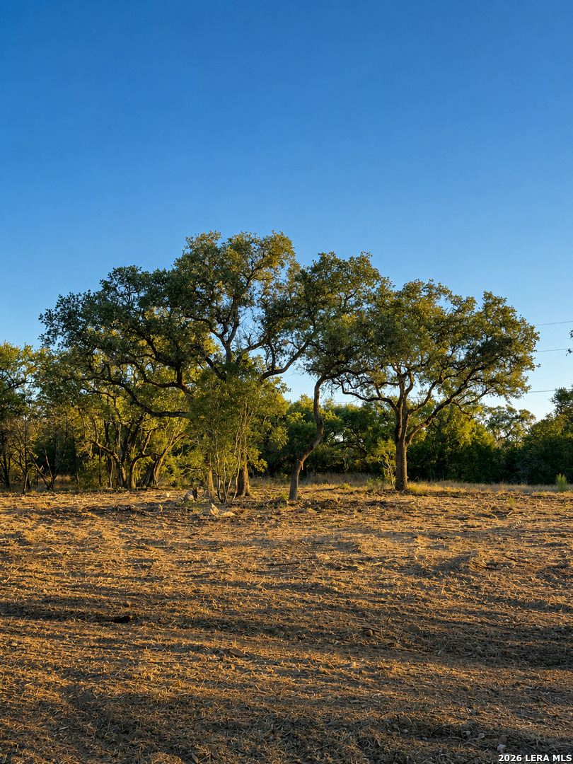 335 Serenity Pass Spring Branch TX 78070