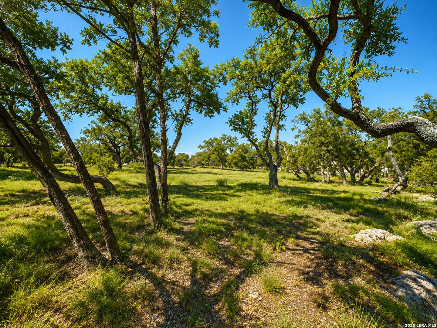 335 Serenity Pass Spring Branch TX 78070
